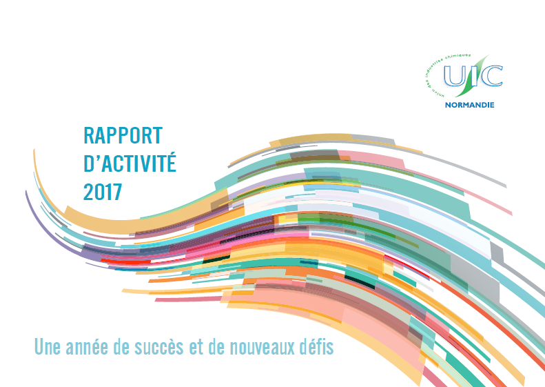 Rapport d'Activité 2017