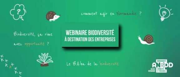 ENTREPRISES ET BIODIVERSITÉ : COMPRENDRE POURQUOI ET AGIR EN NORMANDIE